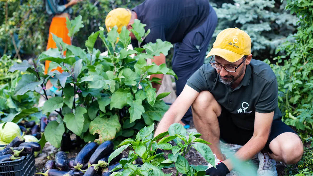 Юрточный лагерь 6