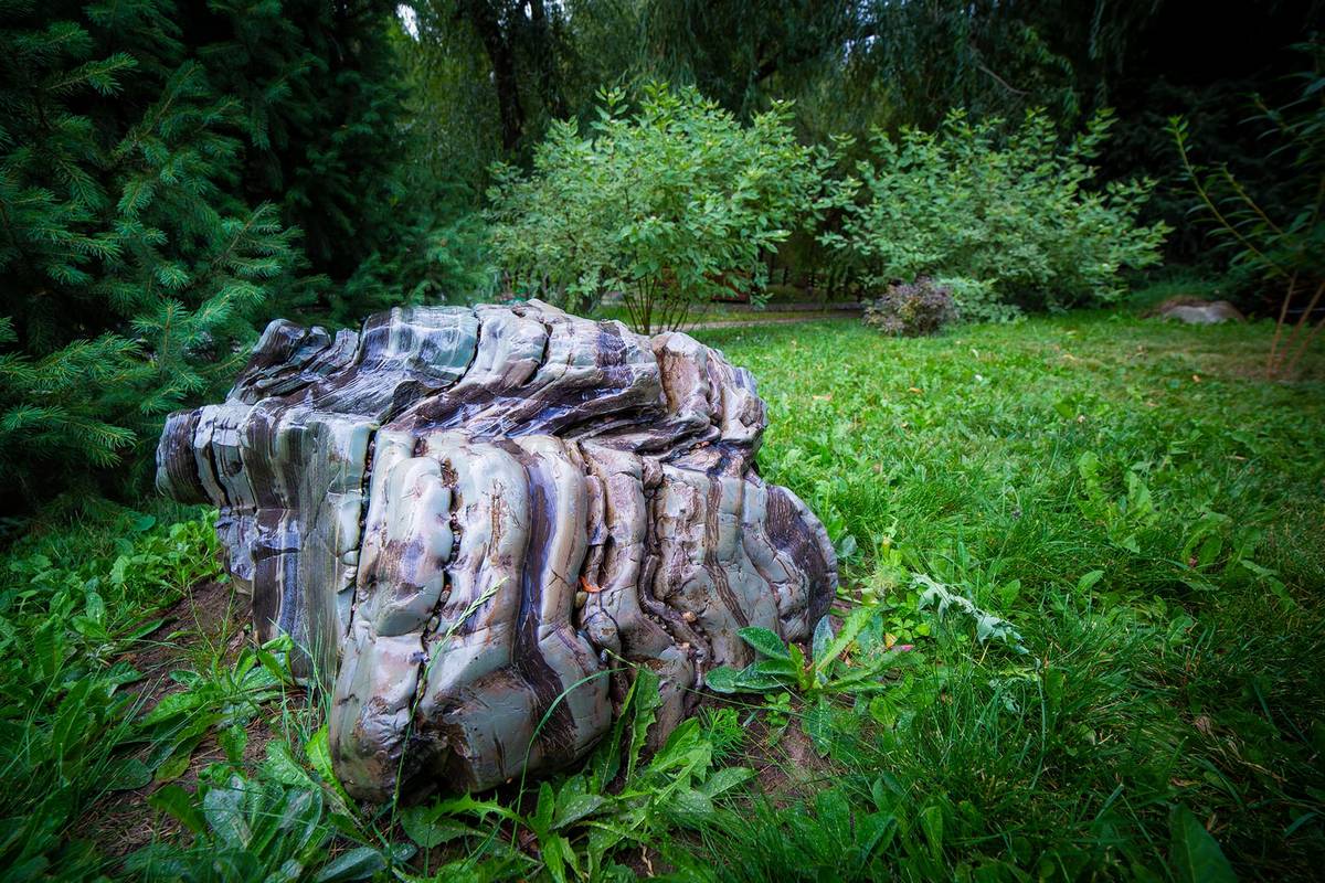 Besh-Kungey Clinic — 6