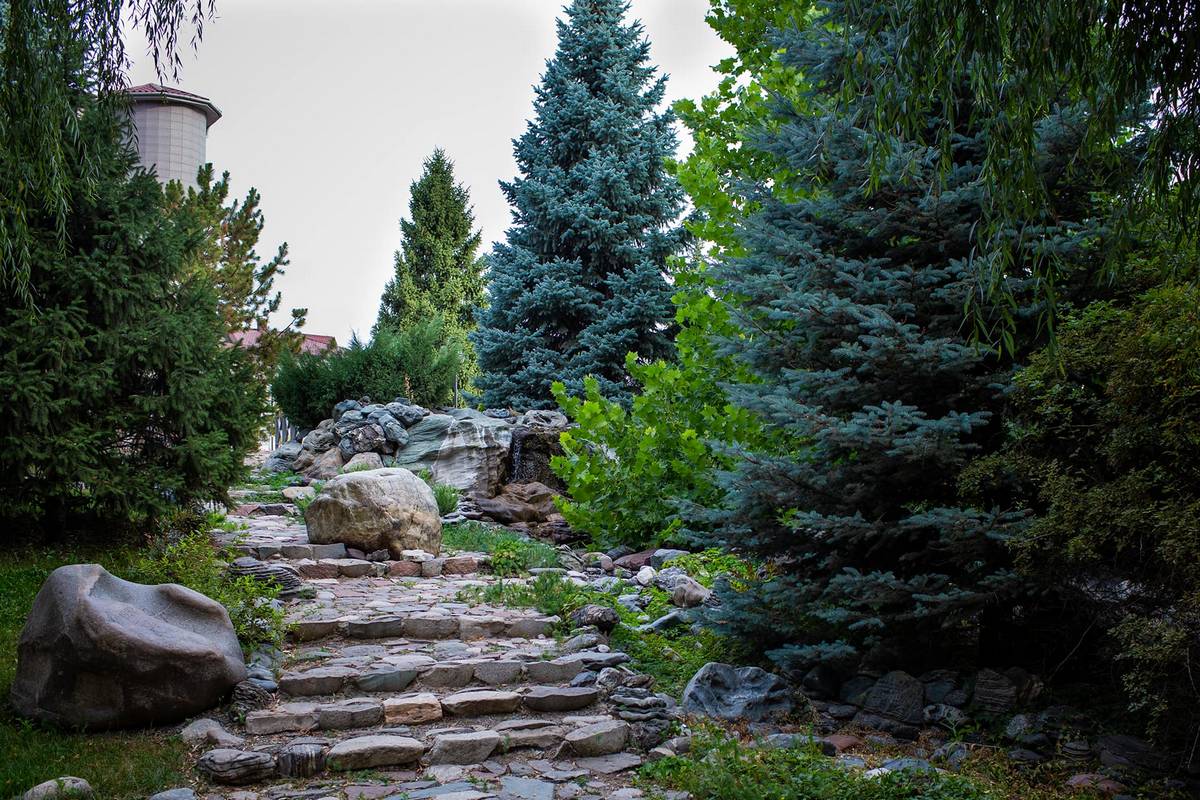 Центр и процесс лечения — 7